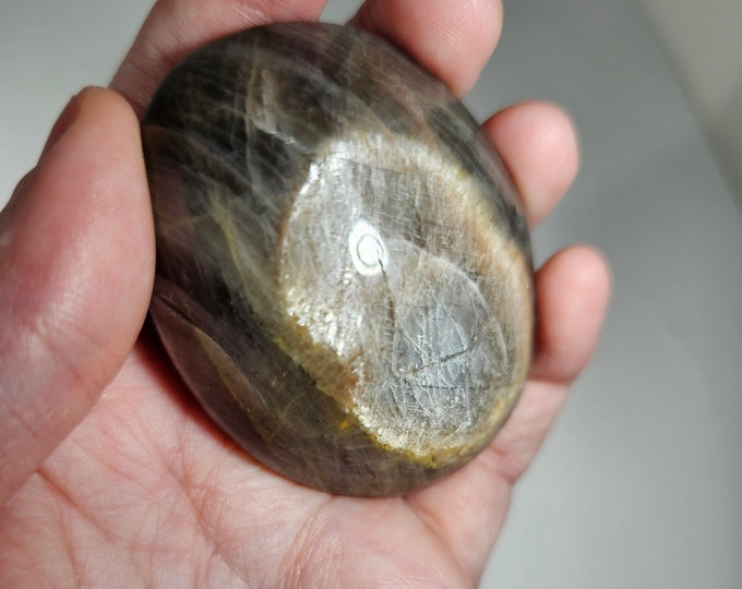 Black Moonstone Palm