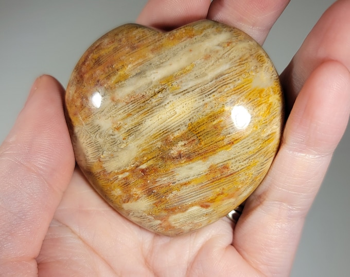 Fossilized Coral Heart Carving