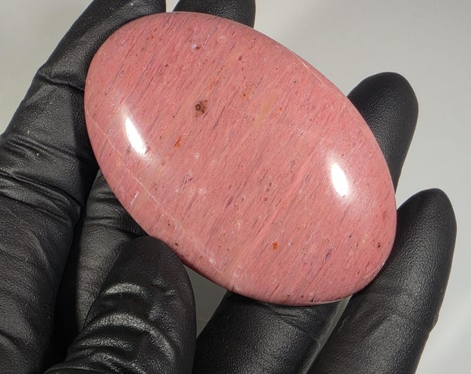 Pink Petrified Wood Palm Stone