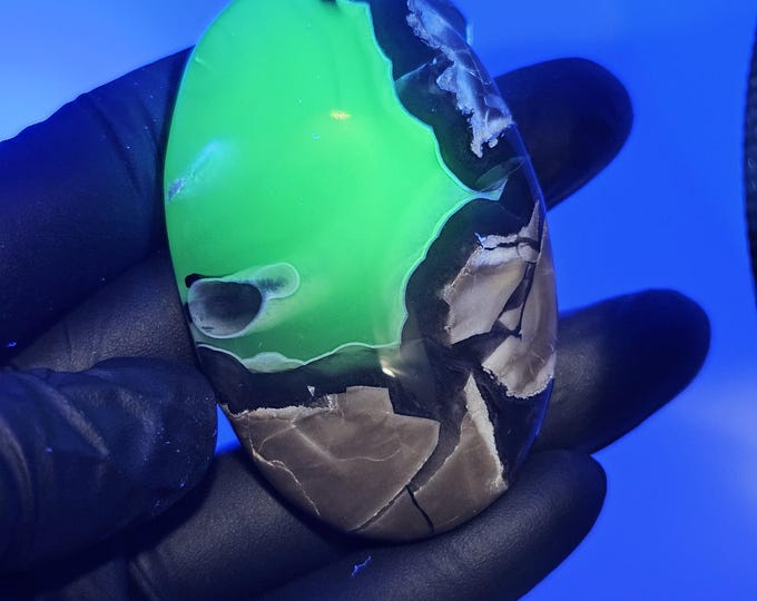 Volcano Agate Palm Stone UV Reactive