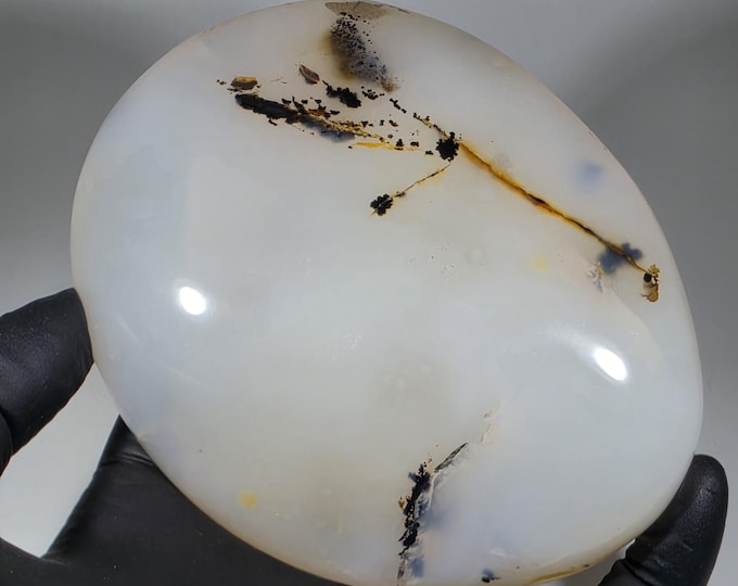 Dendritic Agate Palm Stone
