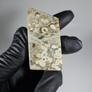 Ocean Jasper Freeform