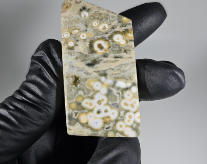 Ocean Jasper Freeform
