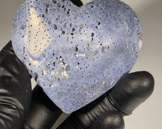 Blue Ridge Coral Fossil Heart Stone