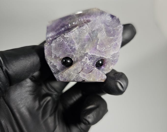 Dream Amethyst Pet Rock Carving