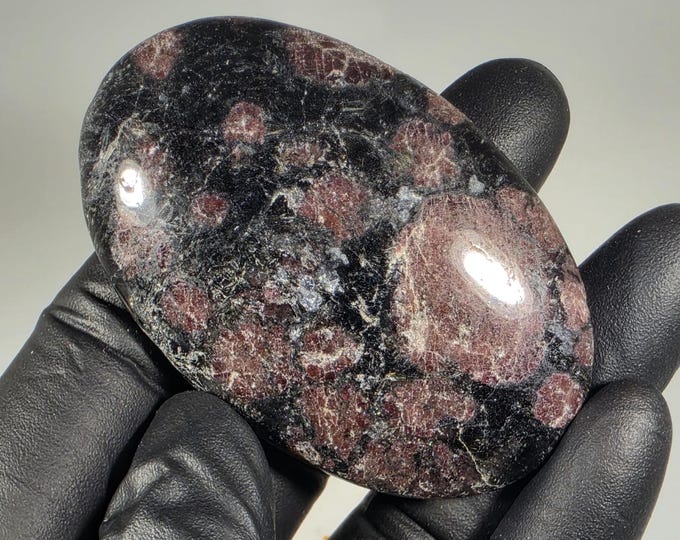 Garnet in Arfvedsonite Palm Stone
