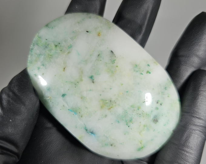 Phoenix Stone Palm Stone
