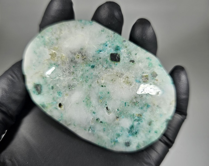 Phoenix Stone Palm Stone