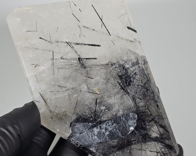Black Tourmaline in Quartz Freeform