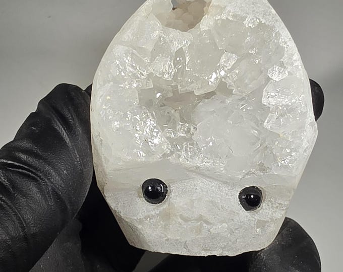 Druzy Geode Pet Rock Carving