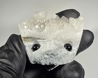 Clear Quartz Cluster Pet Rock Carving