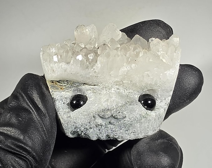 Clear Quartz Cluster Pet Rock Carving