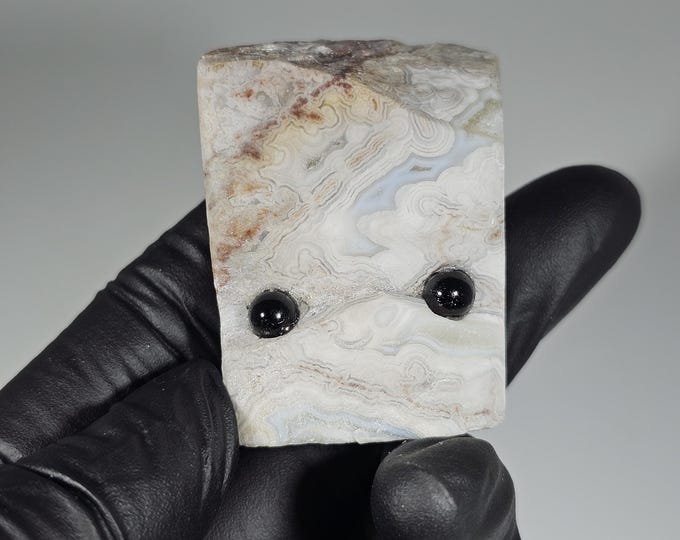 Mexico Crazy Lace Agate Pet Rock Carving
