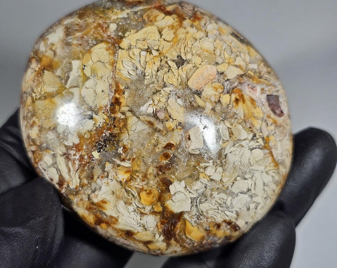 Ibis Agate Palm Stone