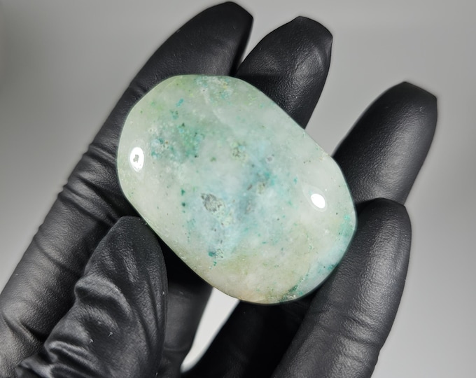 Phoenix Stone Palm Stone