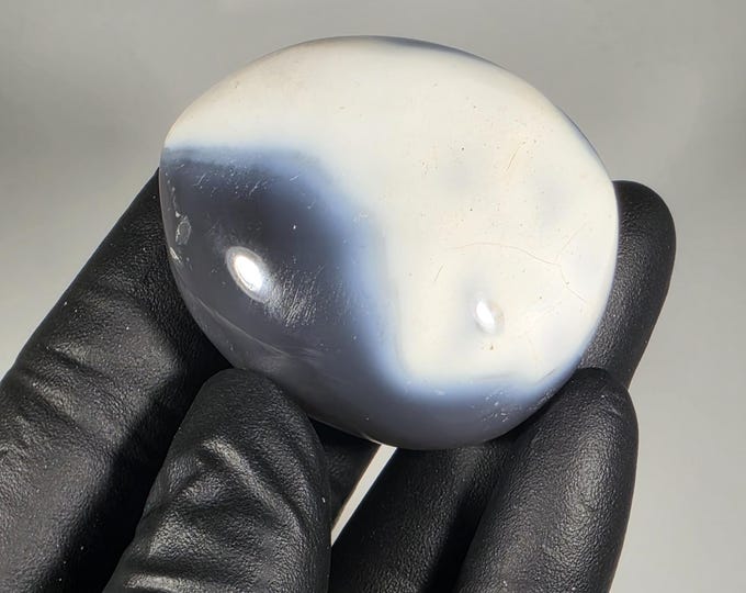Orca Agate Palm Stone