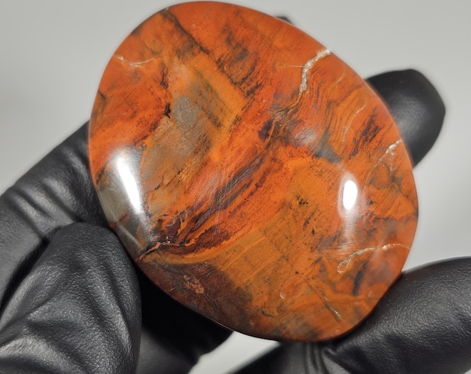 Petrified Wood Palm Stone