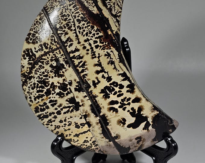 Picture Jasper Moon Carving
