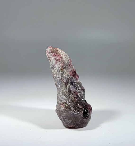 Unicorn hotsell pet rock