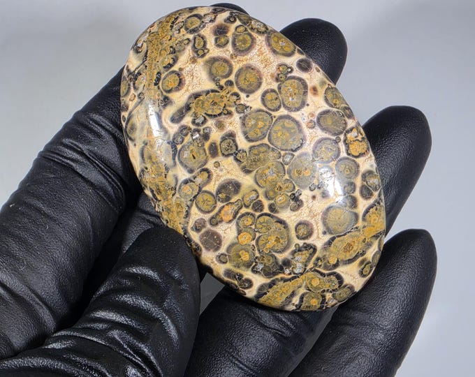Leopard Skin Jasper Palm Stone