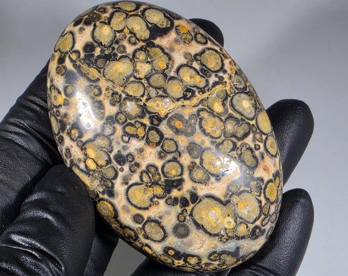 Leopard Skin Jasper Palm Stone
