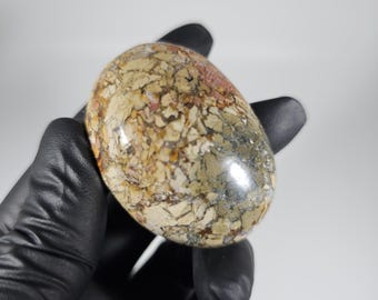 Ibis Agate Palm Stone