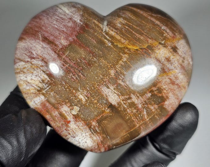 Petrified Wood Heart Carving