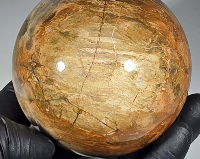 67mm Petrified Wood Sphere