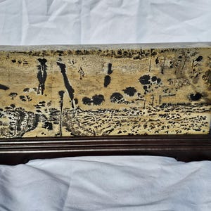 Statement Picture Jasper Slab