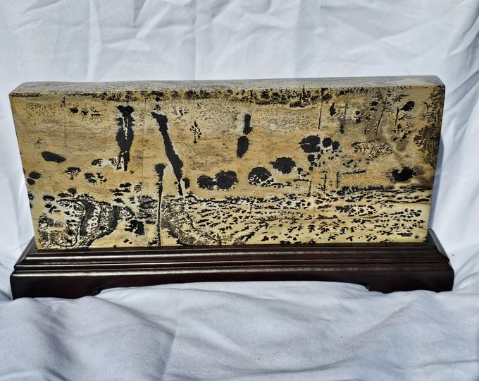 Statement Picture Jasper Slab
