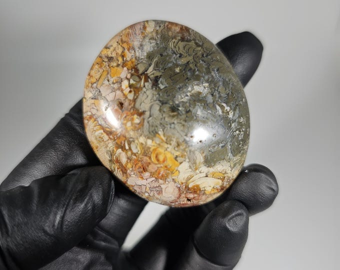 Ibis Agate Palm Stone