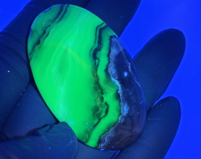 Volcano Agate Palm Stone UV Reactive