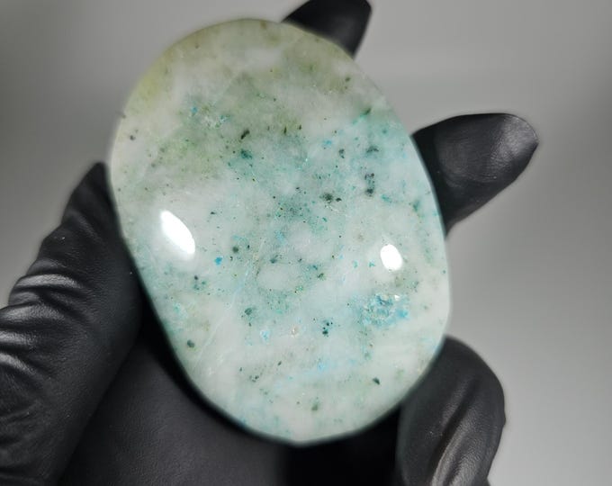 Phoenix Stone Palm Stone