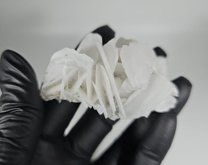 Angel Wing Calcite Specimen
