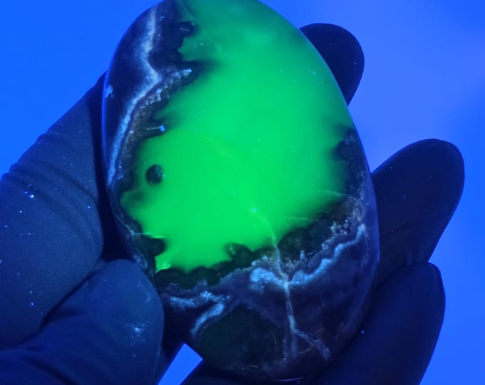 Volcano Agate Palm Stone UV Reactive