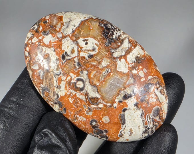 Money Agate Palm Stone