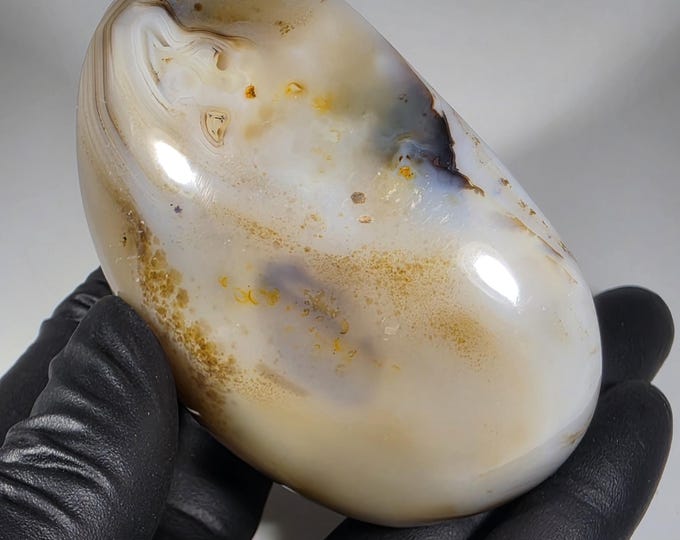 Dendritic Agate Palm Stone