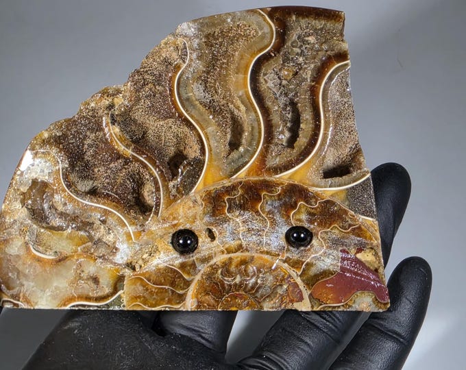 Opalized Ammonite Pet Rock Carving