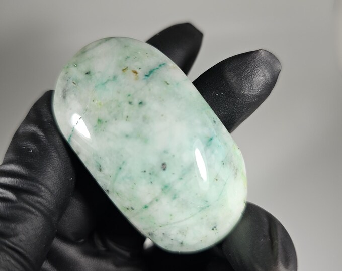 Phoenix Stone Palm Stone
