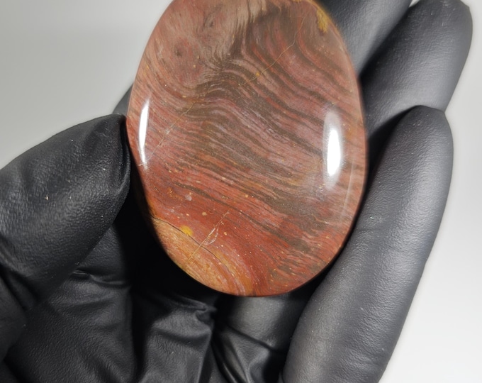 Petrified Wood Palm Stone