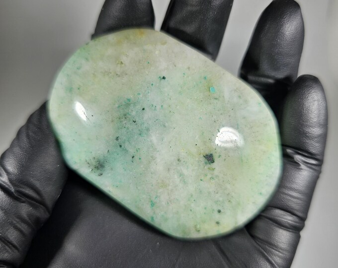 Phoenix Stone Palm Stone