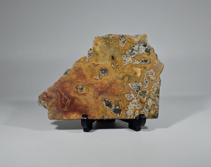 Crazy Lace Agate Slab