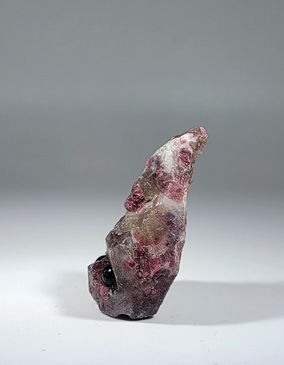 Unicorn hotsell pet rock