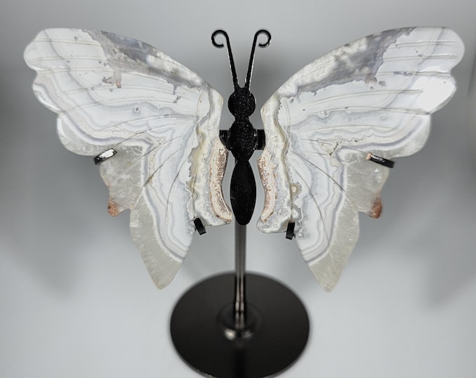 White Mexico Crazy Lace Agate Butterfly Wings