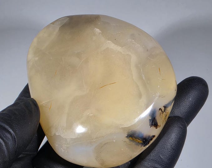 Dendritic Agate Palm Stone