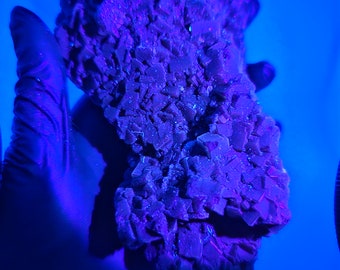 Raw Black Rose Fluorite Specimen UV Reactive