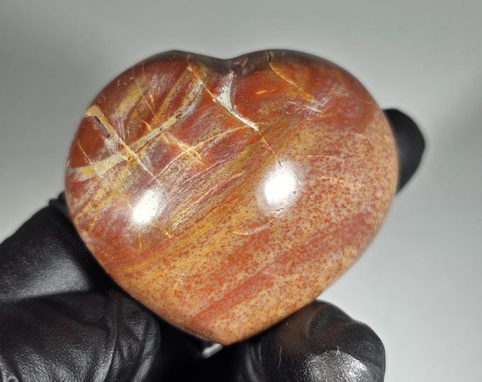 Petrified Wood Heart Carving *Imperfect