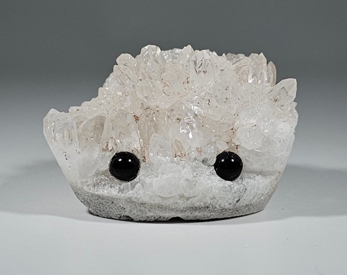 Clear Quartz Cluster Pet Rock Carving