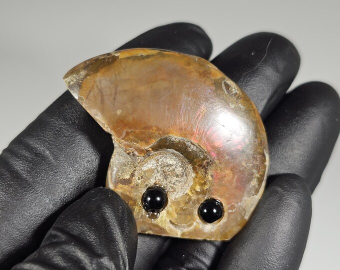 Opalized Ammonite Pet Rock Carving