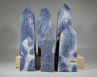 You Choose Blue Ridge Fossilized Coral Tower